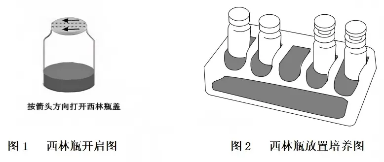 西林瓶使用方法图 西林瓶使用方法图