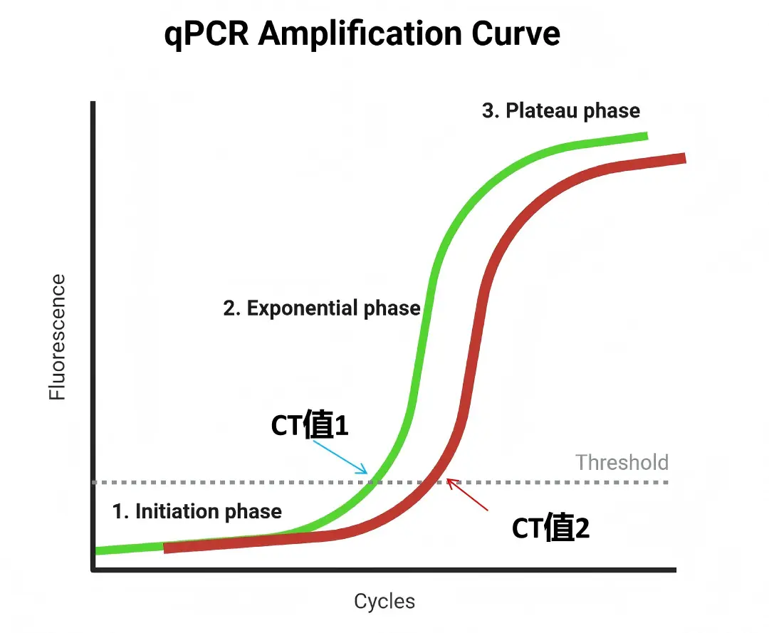 qPCR实验CT值