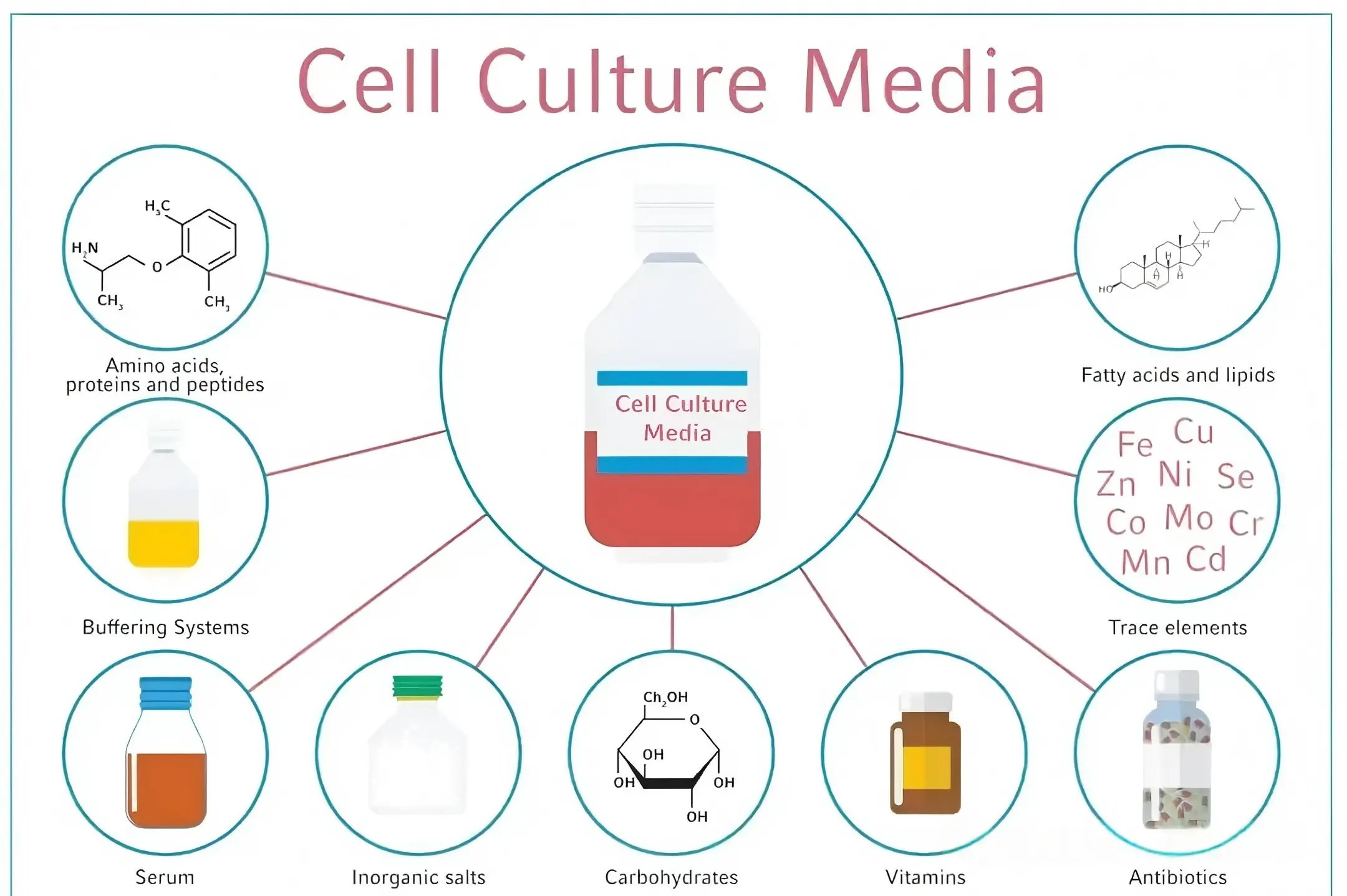 Cell Culture Media Cell Culture Media