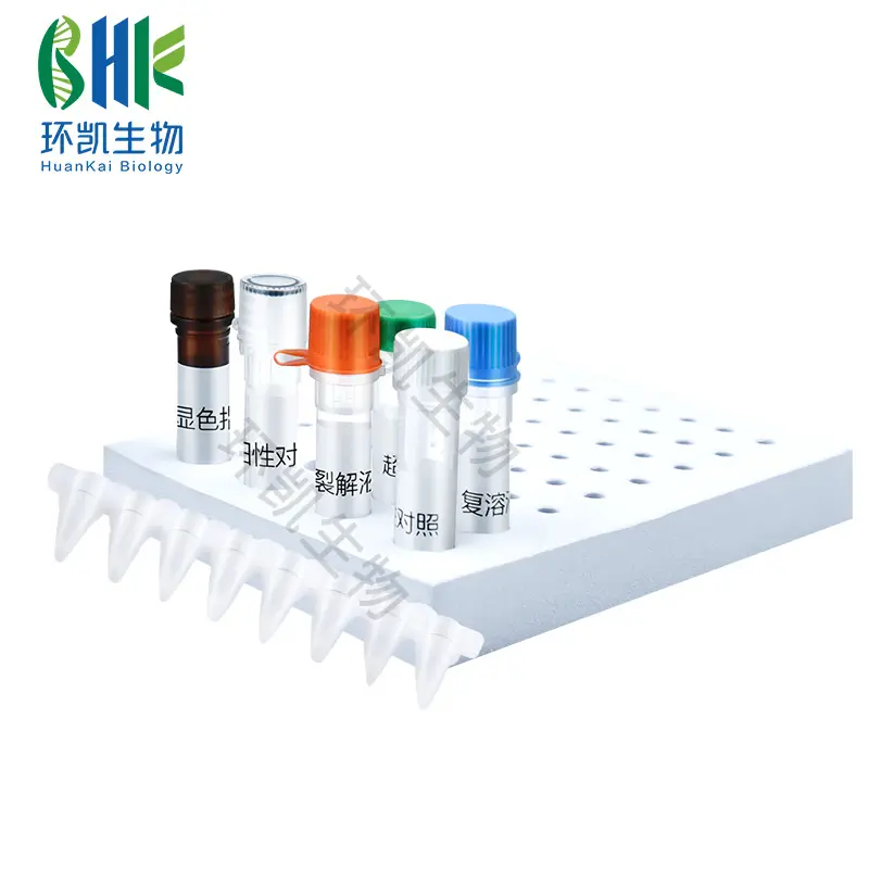 粪链球菌核酸快速检测试剂盒(恒温荧光法) - 产品主图5