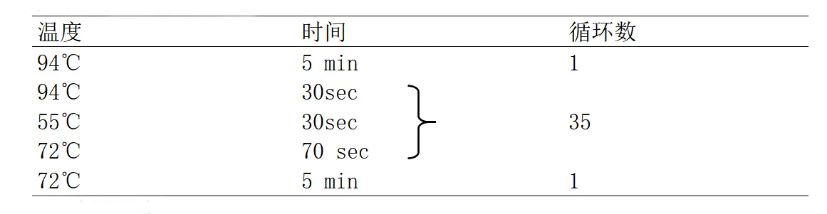 肉毒梭菌A/B型毒素基因PCR检测试剂盒PCR反应程序 肉毒梭菌A/B型毒素基因PCR检测试剂盒PCR反应程序