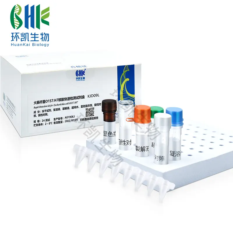 大肠杆菌O157:H7核酸快速检测试剂盒(恒温荧光法) - 产品主图4
