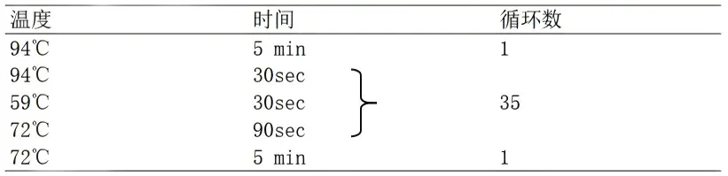 ETEC多重PCR检测试剂盒反应程序 ETEC多重PCR检测试剂盒反应程序