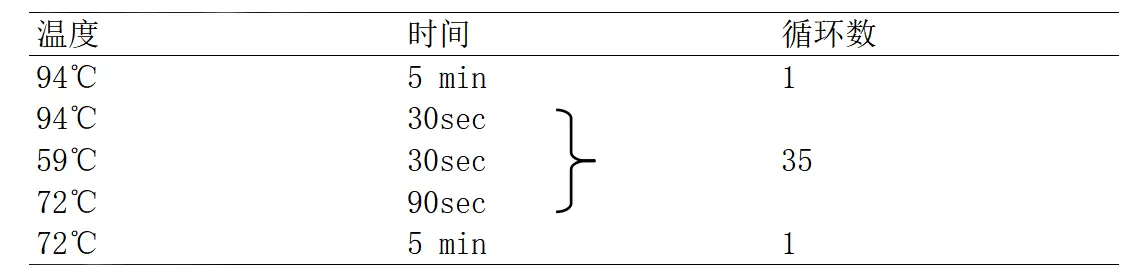 EIEC多重PCR检测试剂盒PCR 反应程序 EIEC多重PCR检测试剂盒PCR 反应程序
