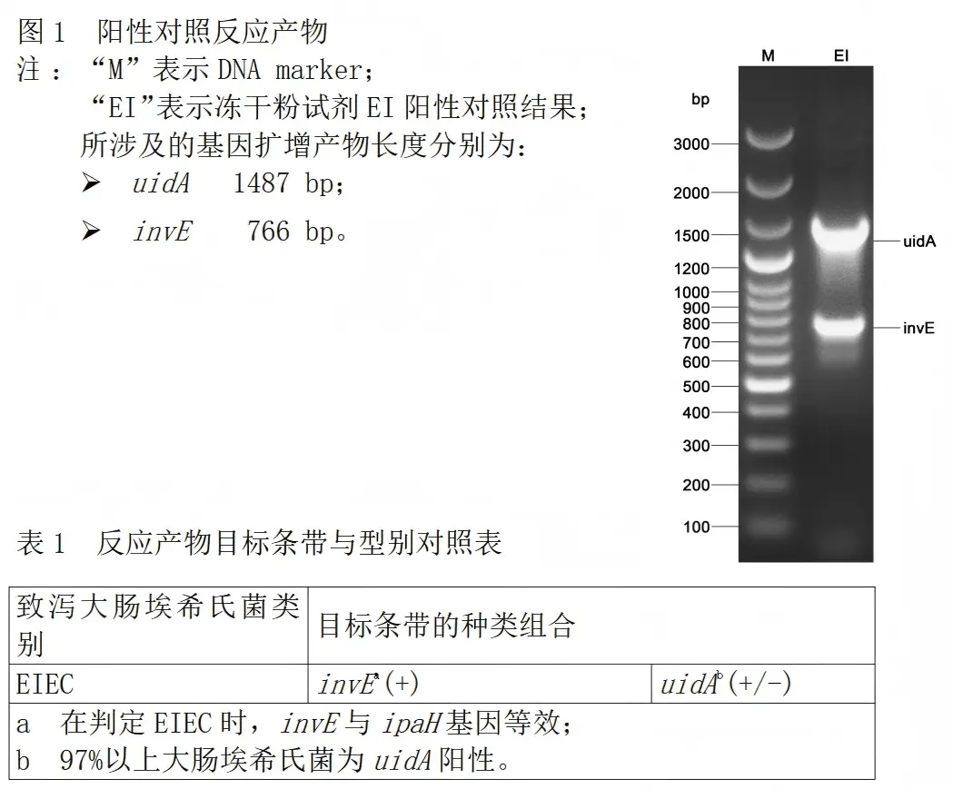 EIEC多重PCR检测试剂盒结果判读 EIEC多重PCR检测试剂盒结果判读