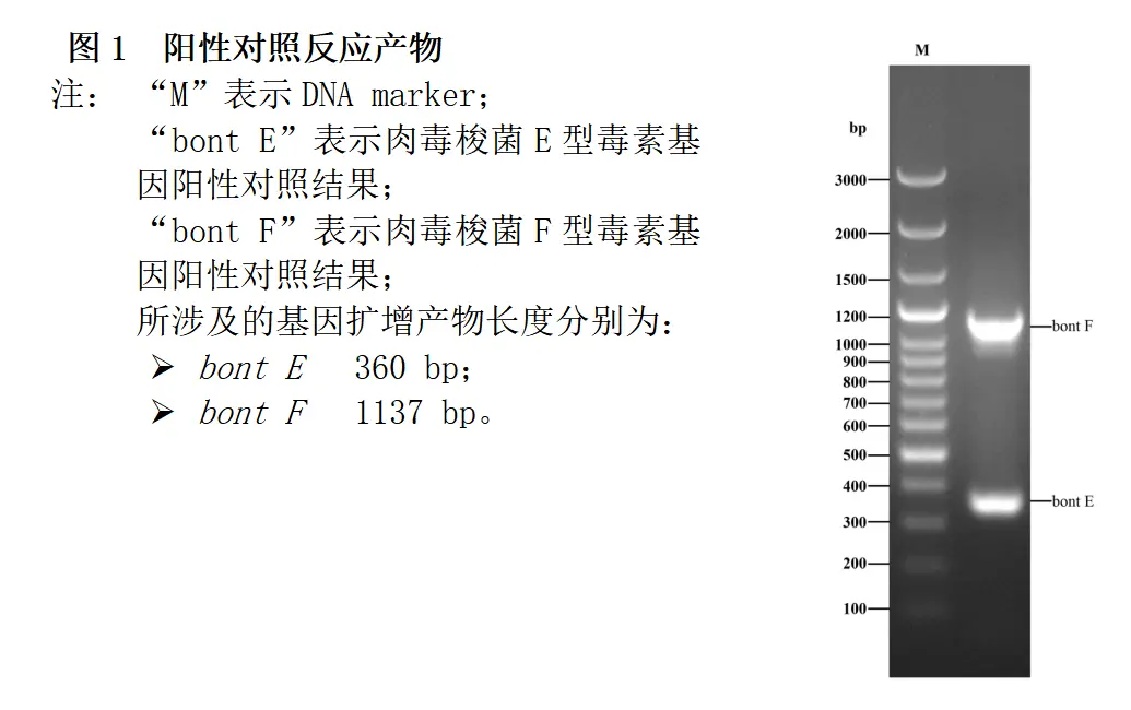 肉毒梭菌E/F型毒素基因PCR检测试剂盒结果判读 肉毒梭菌E/F型毒素基因PCR检测试剂盒结果判读