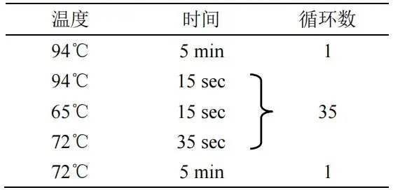 创伤弧菌 PCR 检测试剂盒PCR 反应程序 创伤弧菌 PCR 检测试剂盒PCR 反应程序
