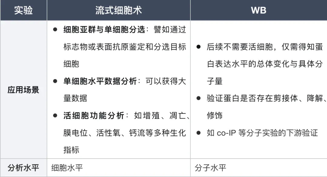 流式细胞术与Western Blot两个实验的应用场景对比表