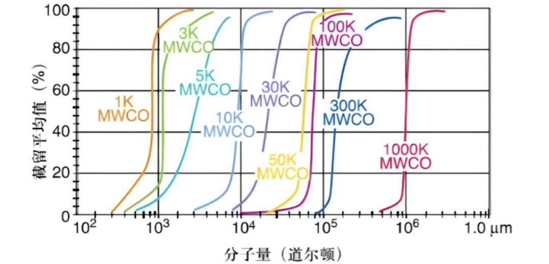 分子量(道尔顿)