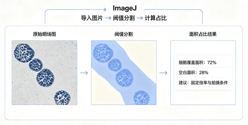 ImageJ软件图像定量分析(精确定量) ImageJ软件图像定量分析(精确定量)